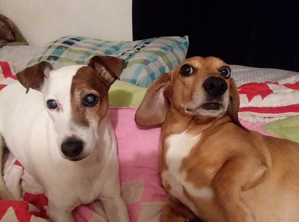 Luke and Flash